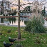 Сочи Парк Отель, фото гостя