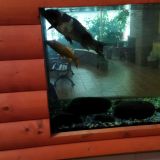 Санаторий Марциальные воды, фото гостя