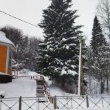 Санаторий Марциальные воды, фото гостя