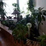 Санаторий Марциальные воды, фото гостя