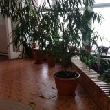 Санаторий Марциальные воды, фото гостя