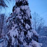 База отдыха Кура-Цеце, фото гостя