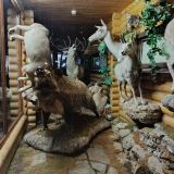 База отдыха Кура-Цеце, фото гостя