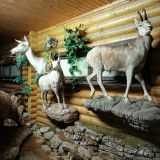 База отдыха Кура-Цеце, фото гостя