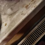 Хостел FreeLife, фото гостя