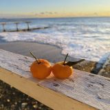 Курортный отель COOCOOROOZA, фото гостя