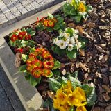 Курортный отель COOCOOROOZA, фото гостя