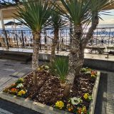 Курортный отель COOCOOROOZA, фото гостя