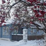 Суздаль, фото отдыхающего в январе