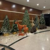 Отель Cosmos Selection Grozny City, фото гостя