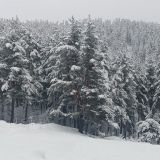 Архыз, фото отдыхающего в январе