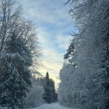 База отдыха Снегурия, фото гостя