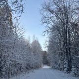 База отдыха Снегурия, фото гостя