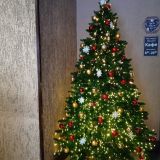 Рязанская область, фото отдыхающего в январе