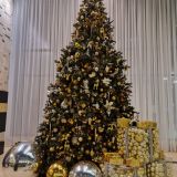 Новосибирск, фото отдыхающего в январе