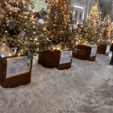 Киров, фото отдыхающего в январе