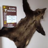 Киров, фото отдыхающего в январе