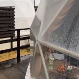 Севастополь, фото отдыхающего в январе