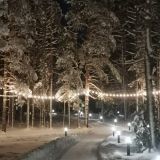 База отдыха Силандэ, фото гостя