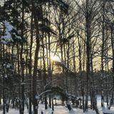 Парк-Отель Берендеевка, фото гостя