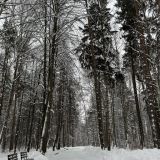 Парк-Отель Берендеевка, фото гостя