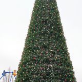 Шали, фото отдыхающего в январе