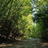 Шали, фото отдыхающего в январе