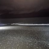 Адлер, фото отдыхающего в январе