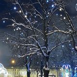 Санкт-Петербург, фото отдыхающего в январе