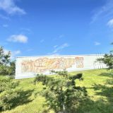 Комсомольск-на-Амуре, фото отдыхающего в январе