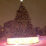 Москва, фото отдыхающего в январе