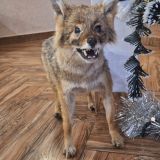 Отель Хантри, фото гостя