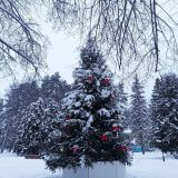 Оздоровительный комплекс Тетьково, фото гостя