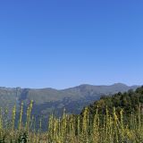 Кавказ, фото отдыхающего в январе