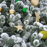 Кавказ, фото отдыхающего в январе