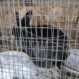 Гостиница Горки, фото гостя