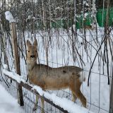 Гостиница Горки, фото гостя