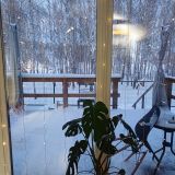 Глэмпинг Ильино, фото гостя