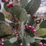 Сочи Парк Отель, фото гостя