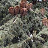 Отель Атлантида, фото гостя