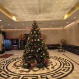 Отель NIHAO Hotel St. Petersburg, фото гостя