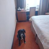 Отель Форум, фото гостя