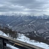 Гостевой дом Фламинго на Лунном переулке, фото гостя