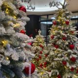 Отель Мегаполис, фото гостя