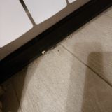 Гостиница Даллас, фото гостя