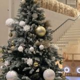 Гостиница Ранчо 636, фото гостя