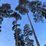 Гостиница Ранчо 636, фото гостя