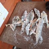 База отдыха Креницы, фото гостя