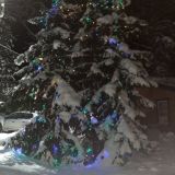 База отдыха Журавушка, фото гостя