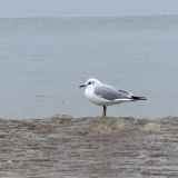 Глэмпинг Малина, фото гостя